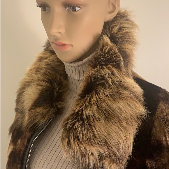 Jacket - Picture 5 of 8